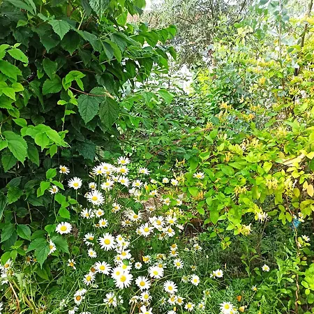 30 Minutes Du Parc Floral - Privative Séjour chez l'habitant *